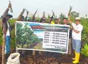 PWI Kepri Bersama Pecinta Mangrove Indonesia dan Jepang Tanam Bakau di Pulau Bintan