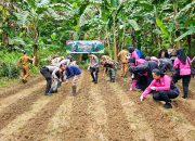 Kapolres Anambas: Penanaman Jagung Wujud Swasembada Pangan