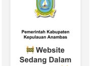 Serangan Siber! Situs Pemkab Anambas Disusupi Iklan Judi Online