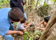 RO Serahkan Diri, Sabu 1 Kg Ditemukan di Pantai
