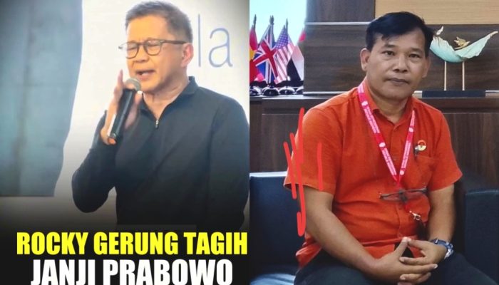 Prabowonomics Apresiasi Investasi Rp384 Triliun dari Jepang