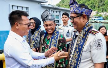 Bupati Aneng Sambut Kakanwil Imigrasi Kepri di Anambas