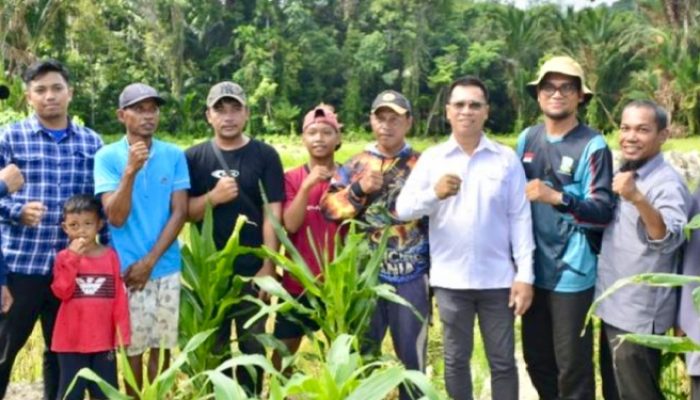 Bupati Aneng Panen Padi dan Serahkan Alsintan di Pesisir Tim