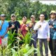 Bupati Aneng Panen Padi dan Serahkan Alsintan di Pesisir Tim