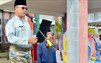 Aneng: Jaga Marwah Melayu, Perkuat Pembangunan