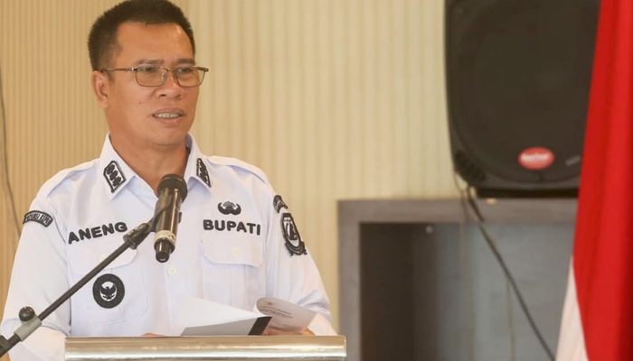 Aneng Dorong ASN Naik Kelas Lewat RPL