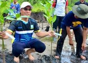 Aneng Tegaskan Mangrove Temburun Harus Dijaga