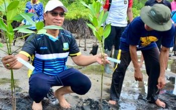 Aneng Tegaskan Mangrove Temburun Harus Dijaga
