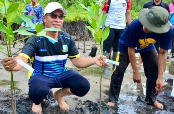 Aneng Tegaskan Mangrove Temburun Harus Dijaga